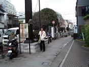 The beautiful 遊步道