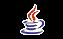 JAVA