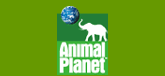 Animal Planet