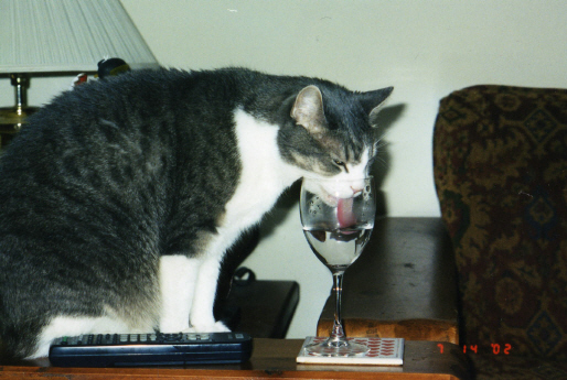Caught in the act!