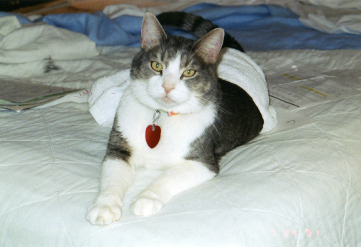Cleo posing