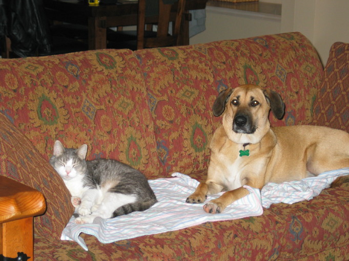 Cleo & Savannah