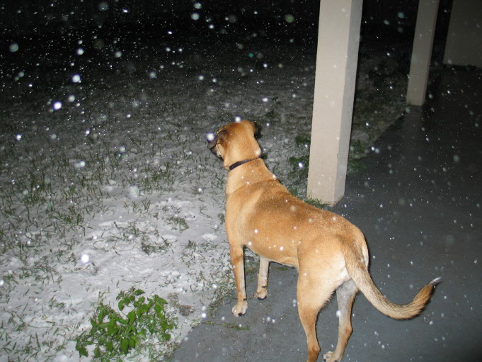 It's snowing?