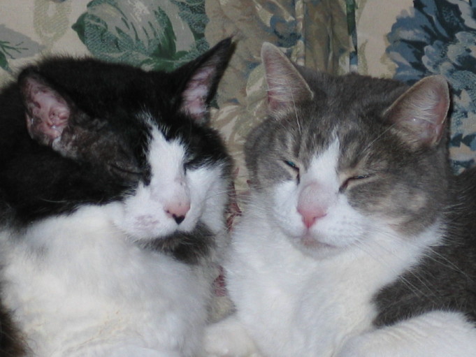 Sara & Cleo....best friends