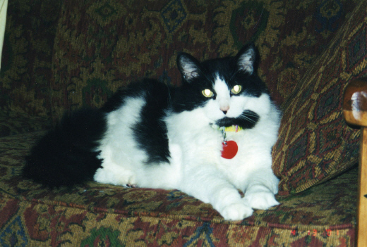 Sara on the couch