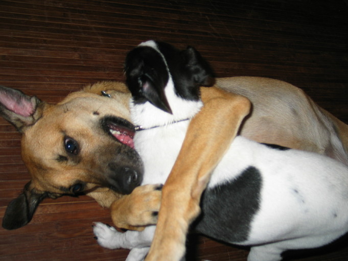 Savannah and her friend, Ralph
