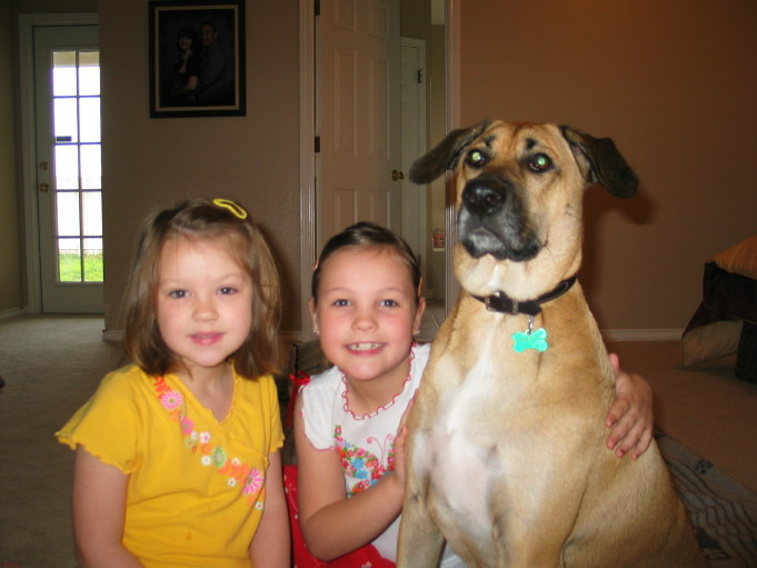 Our nieces, Lauren (age 4) and Robyn (age 7), with Savannah