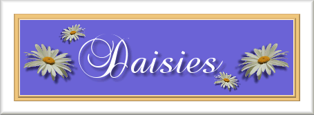 Daisy Banner