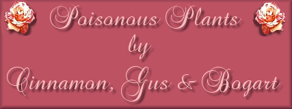 Poisonous Plants Banner