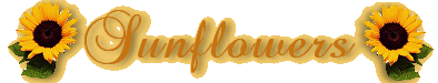 Sunflower Banner
