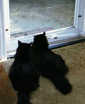 Doorwatch
