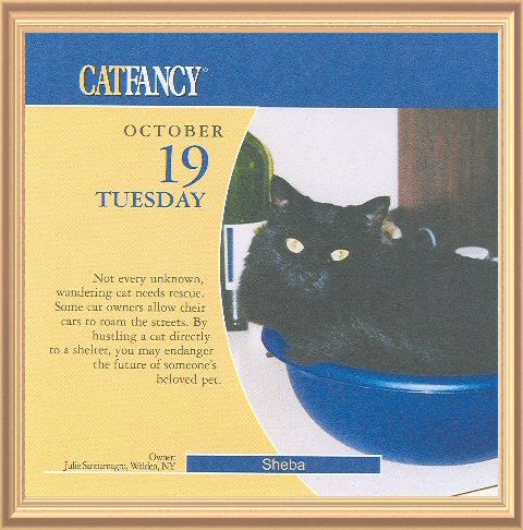 Calendar Girl Sheba