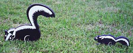 Skunks"