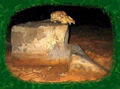 Chauvet_cavebear_altar.JPG (16136 bytes)