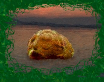Lepenski_head_in_water.JPG (23004 bytes)