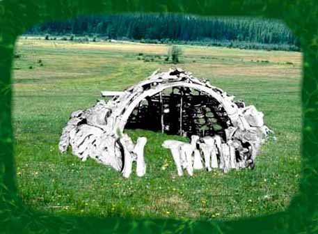 UkraineMammothboneHome.JPG (24830 bytes)