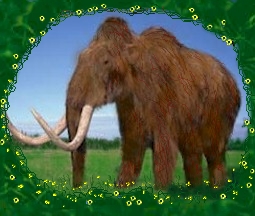 Woollymammoth.jpg (52990 bytes)