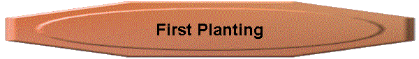 First Planting