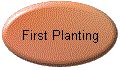 First Planting