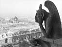 gargoyle_75@yahoo.com