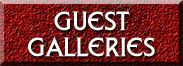 Guest Galleries