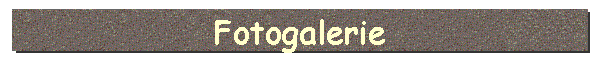 Fotogalerie