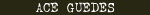 Ace Guedes