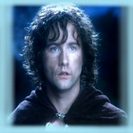 peregrin took peregrin took