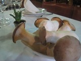 Boletus Edulis