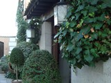 Detalle Exterior