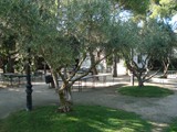 Jardines