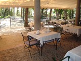Terraza de Verano