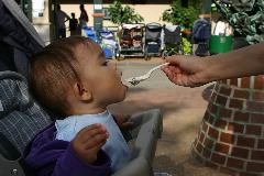 IMG_3538.JPG