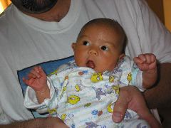 IMG_1335.JPG