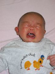 IMG_1357.JPG