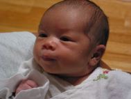 IMG_1229.JPG