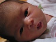 IMG_1204.JPG
