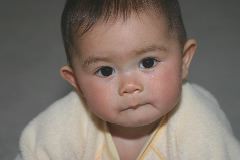 IMG_2353.JPG