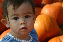 IMG_4675.JPG