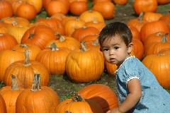 IMG_4623.JPG