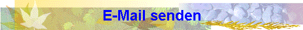 E-Mail senden