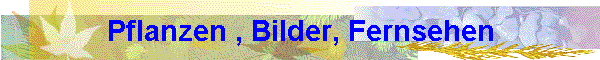 Pflanzen , Bilder, Fernsehen
