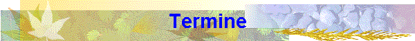 Termine