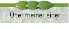 �ber meiner einer