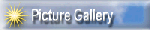 Picture Gallery
