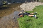 [ Roberto taking a much-needed drink of water from a stream ]