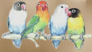 bird1.gif
