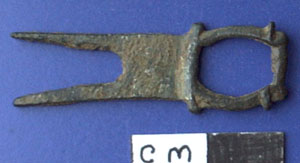 Buckle