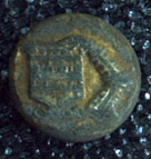 Livery Button