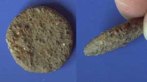 Roman coin